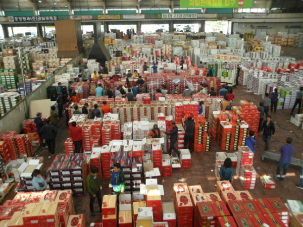 진주 농산물 도매시장의 중도매인, 법인, 농업기술센터 직원 등이 환경정비로 추석 손님 맞이에 나섰다