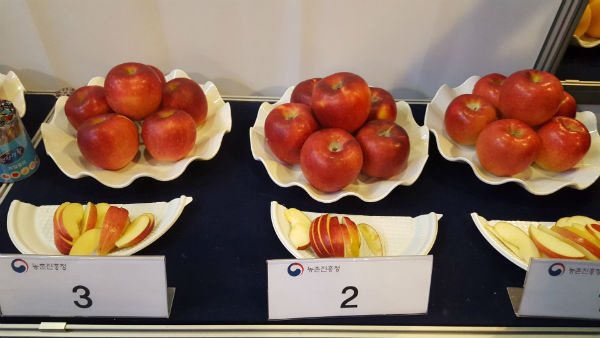 거창군 남상면 김기섭(62세) 농가의 “아리수” 품종이 장려상을 수상했다.(사진/거창군)