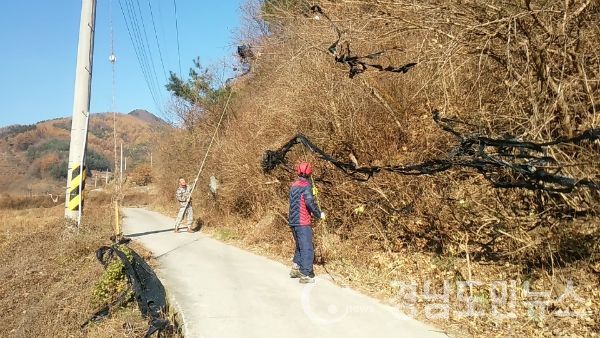 도로변 가시권 환경정비를 위해 인력을 투입해 바람에 날아가 가로수와 나무에 걸려있는 폐비닐과 반사필름 전량을 제거했다.(사진/거창군)