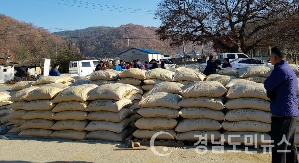 정부의 보관양곡 품질향상 방침에 맞춰 지역여건에 적합하고 미질이 우수한 중만생종인 새일미와 마늘 양파 등 이모작지에 적합한 조생종인 해담쌀 2개품종을 선정했다.(사진/합천군)