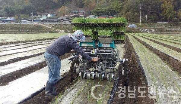 합천군 농번기 대비 보조지원 농기계 본격 공급(사진/합천군)