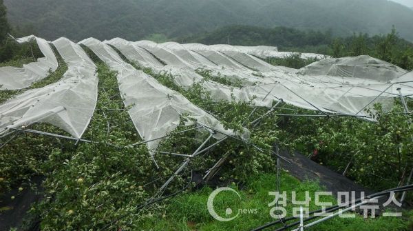과수농가 농작물 재해보험 가입 필수(사진/거창군)