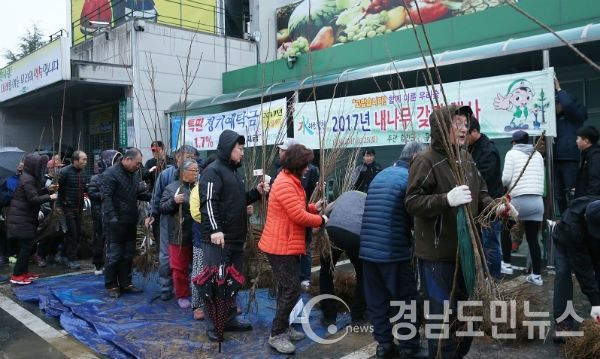 2017년 내나무갖기행사(사진/합천군)