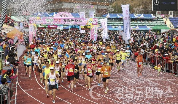 제17회 합천벚꽃마라톤대회가 성황리에 막을 내렸다.(사진/합천군)