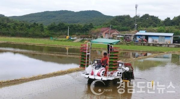 하동군 금성면은 26일 갈사리 권남주(66) 농가가 올들어 하동에서 첫 모내기를 실시했다.(사진/하동군)