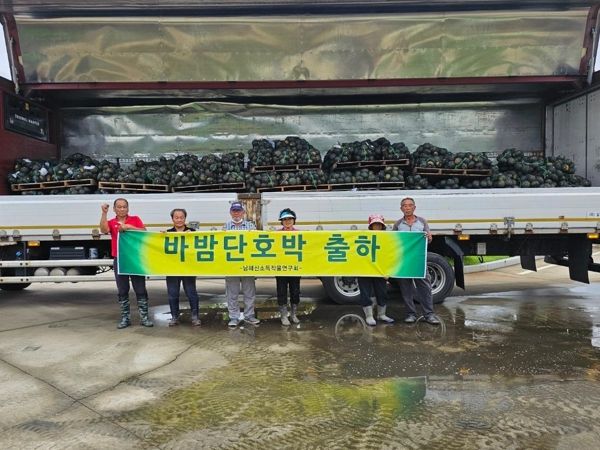 남해신소득작물연구회, 바밤단호박 출하