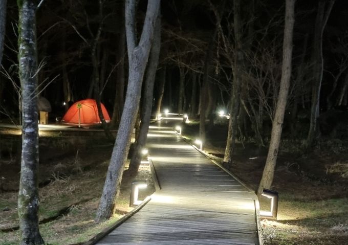 붉은오름 숲속의 야영장 환경 개선 사업