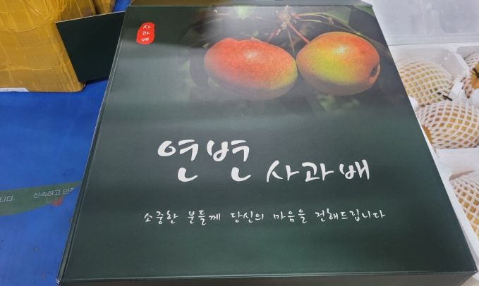 품목을 거짓 기재하여 불법수입을 시도하다 X-ray에서 검색된 탁송품