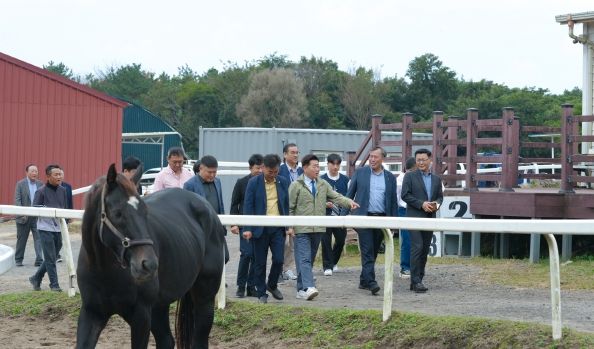 제주 말산업, 6차산업 선도모델로 육성한다