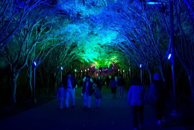 지난 20일 관광객들이 야간경관 투어버스를 이용하고 있다.