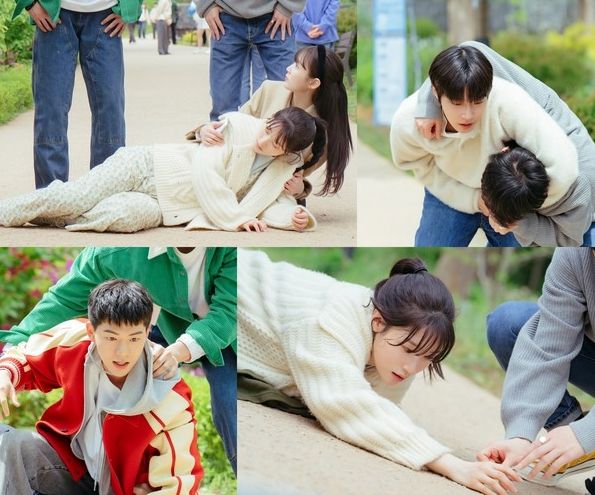 사진 제공: 하이지음스튜디오, 베이스스토리, SLL