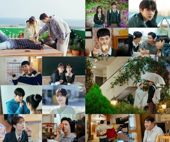 사진 제공: 하이지음스튜디오, 베이스스토리, SLL