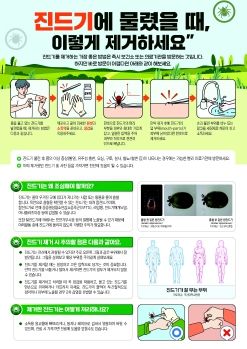 구미시 가을철 진드기 물림, 예방수칙 지켜주세요