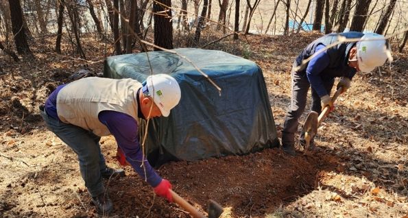 사천시, 소나무재선충병 방제 본격화