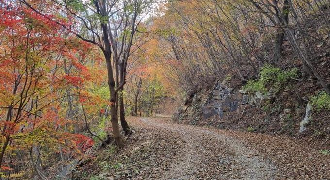 단풍 명소 내산, 남해힐링숲타운에서 만끽하세요∼