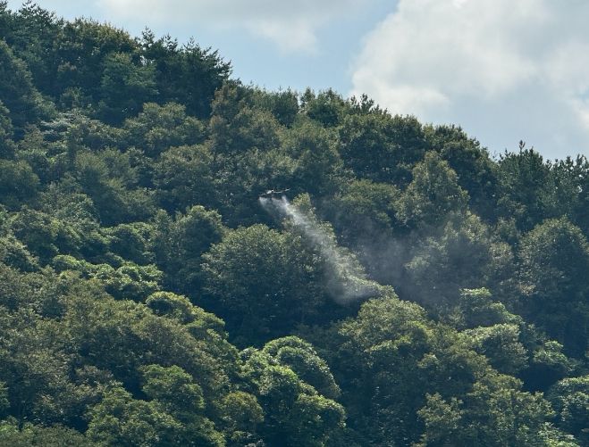 하동군, 2025년부터 밤나무 병해충 드론 방제
