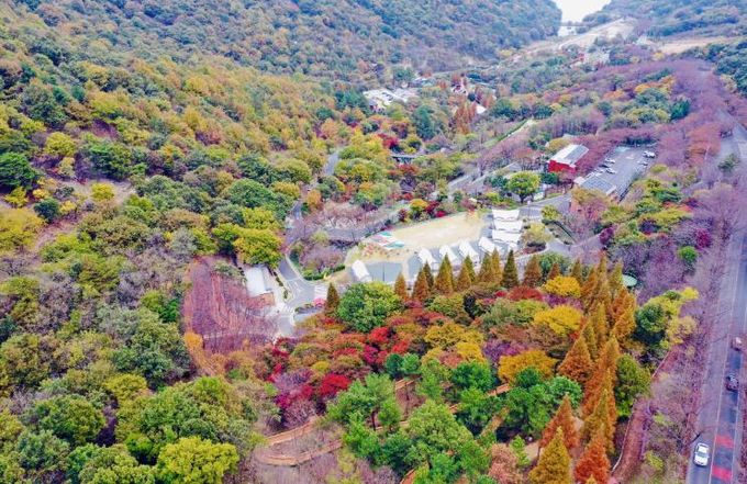 ‘월아산 숲속의 진주’ 5일부터 연말 이벤트 실시