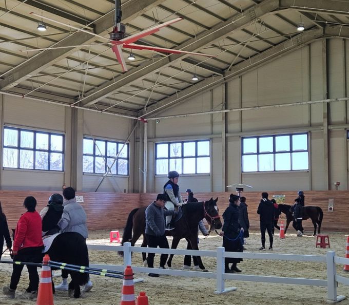 2024 겨울 재활승마 캠프 운영