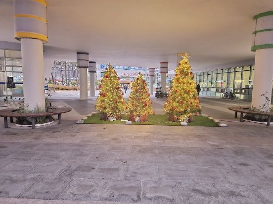 세종시 새롬동에서 반짝이는 따뜻한 연말 보내세요