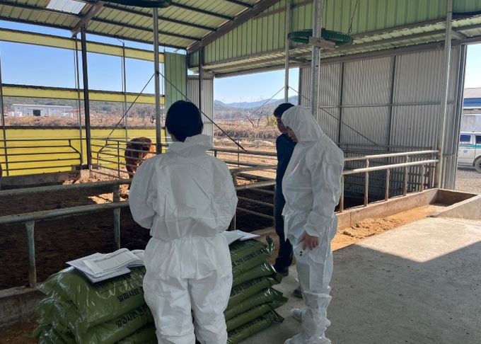 경주시가 지역 한우농가 10곳이 새롭게 식품안전관리인증(HACCP)을 획득했다.
