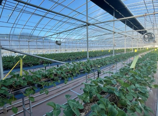 고성군 2025년 채소특작분야 지원사업 신청하세요!