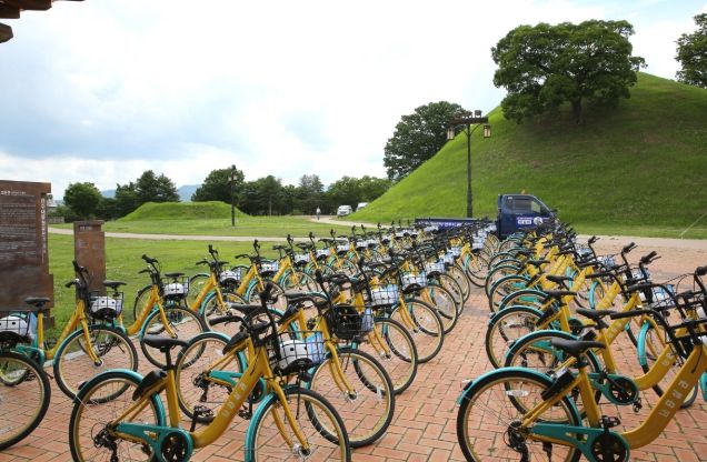 타실라 자전거 대여 현장