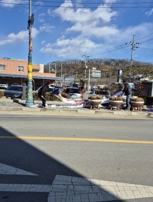 성주군 용암면, 불법현수막 일제정비 실시 !!