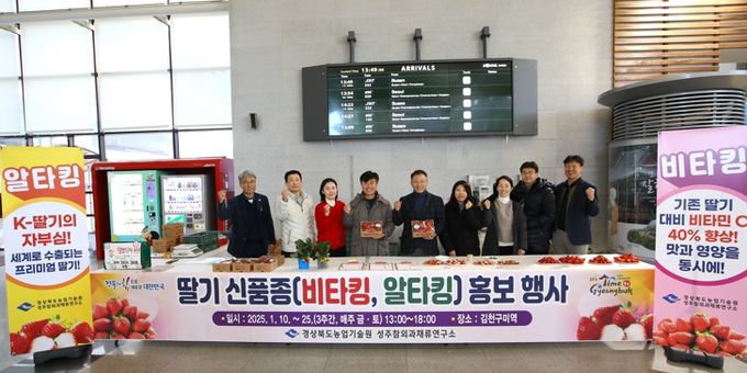 프리미엄 경북 딸기 신품종, 도시민 유혹!