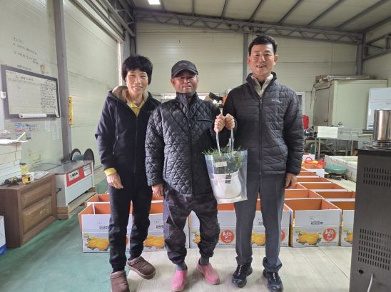 성주군 선남면, 금빛 참외 첫 출하로 참외조수입 7천억 달성 start!!