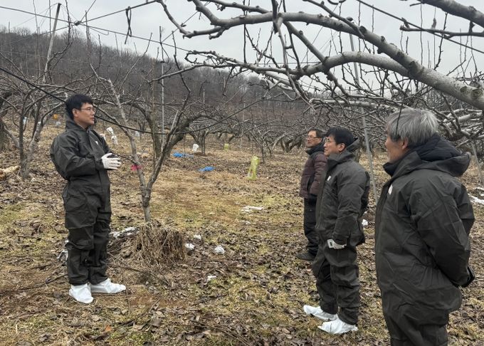 김포시, 경기도농업기술원과 과수화상병 현장행정 실시