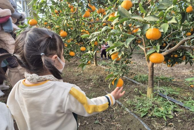 대전 중구 무수천하마을, 전국 최우수 농촌체험휴양마을 선정