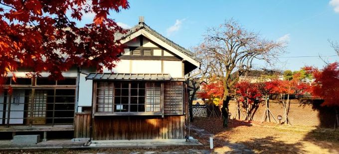 광양시, 설 명절 황금연휴 겨냥 ‘권역별 광양여행’ 큐레이션 - 서울대학교 남부연습림 관사