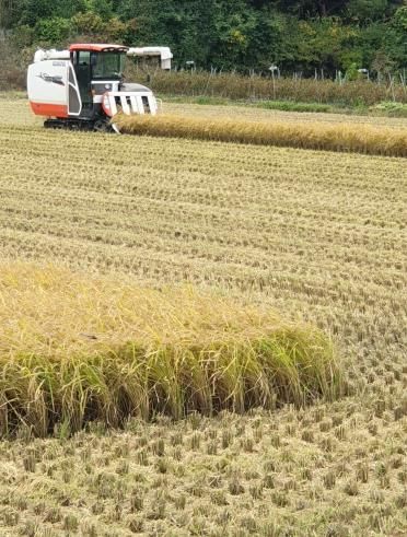 파주시, 고령 농업인에 농작업 영농대행비 지원…최대 25만 원