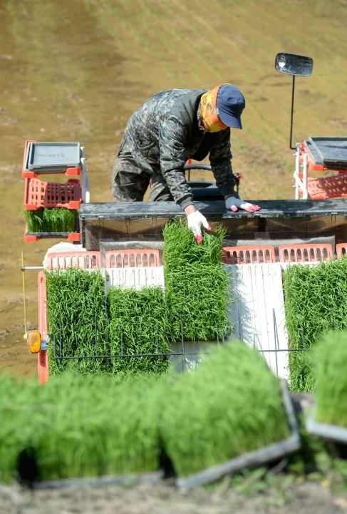 고령자와 취약 농업인 대상 영농대행 지원 사업