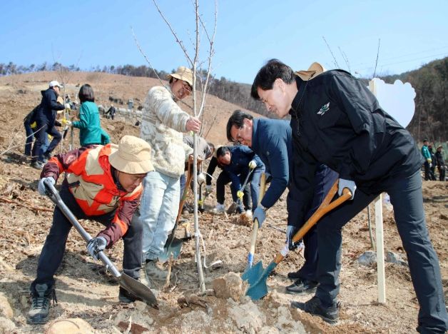 - 안병구 밀양시장이 20일 무안면 마흘리 일원에서 진행된 나무 심기 행사에 참여해 나무를 심고 있다.