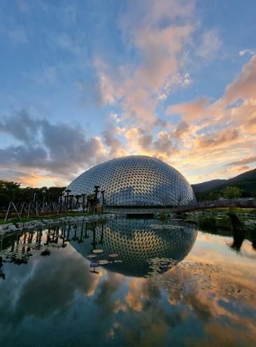 거제식물원 정글돔, 특별한 웨딩촬영 명소로 대관 개시