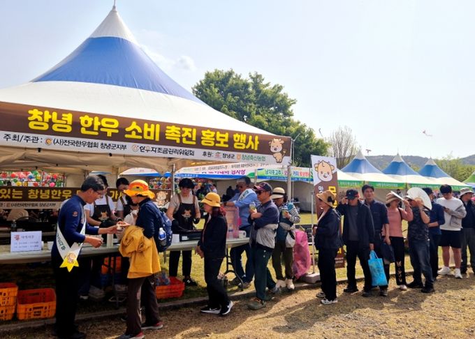 창녕 낙동강 유채축제 행사장을 찾은 관광객들을 대상으로 하는 창녕한우를 시식행사