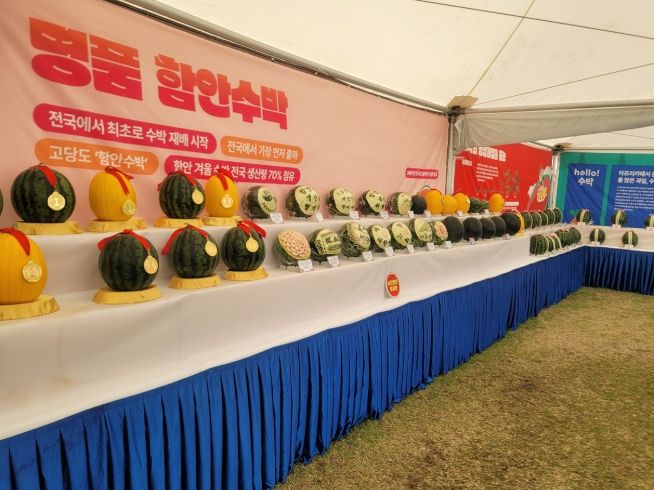 “가족과 함께 즐기는 수박 힐링 페스티벌” 달콤한 유혹, 대한민국 함안수박축제 오는 25일 열린다