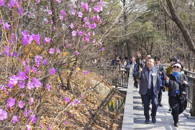 봉화산 동행길 전경