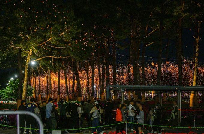 은은하게 내리는 불꽃비 낙화 '세종의 밤' 빛났다