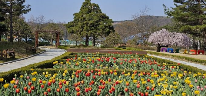 미동산수목원, 봄꽃