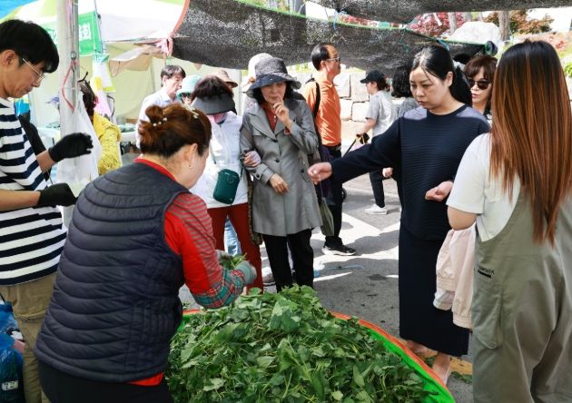 영양 산나물 먹거리 한마당