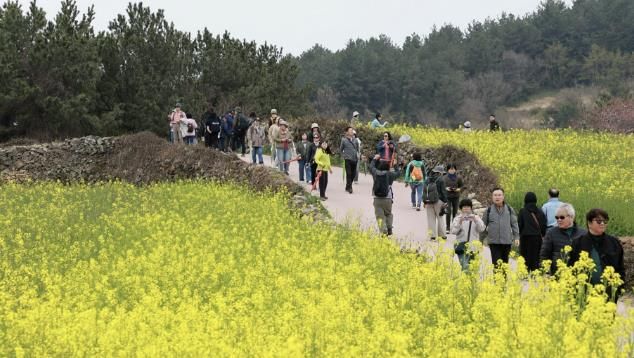 완도 청산도 슬로길 전경