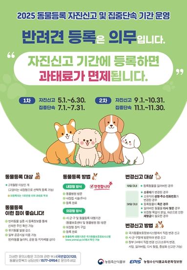 김해시 동물등록 자진신고 기간