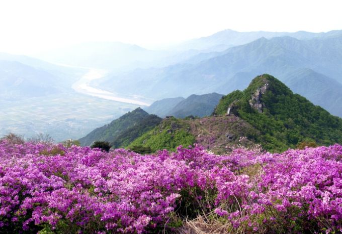 악양산우회 주관 제33회 철쭉제례