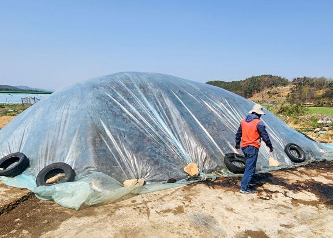 창녕군과 낙동강유역환경청 관계자들이 하천변 야적 퇴비 현장을 점검하고 있다.
