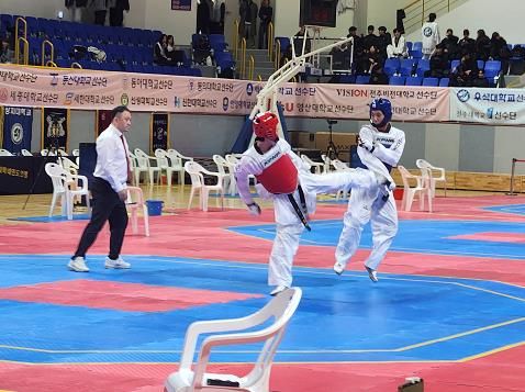 영광군 제52회 전국대학태권도 개인선수권 대회, 인파 속 성료
