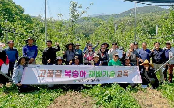 함양군, 만생복숭아 적심 및 하계전정 현장교육 실시