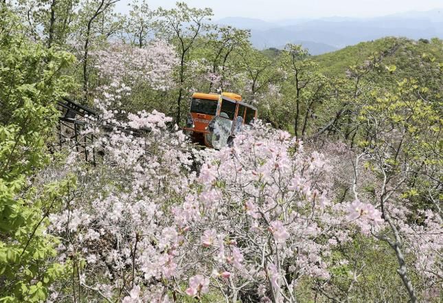 함양 대봉모노레일