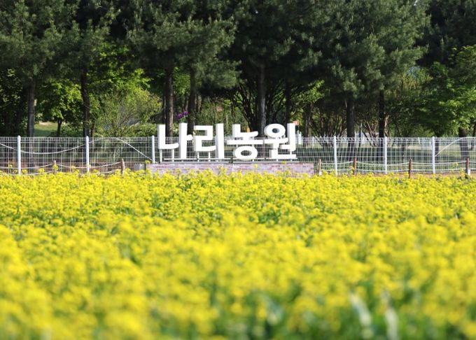 봄꽃 향기 따라 걷는 9일간의 초대…양주 나리농원, 5월 24일 봄 개장
